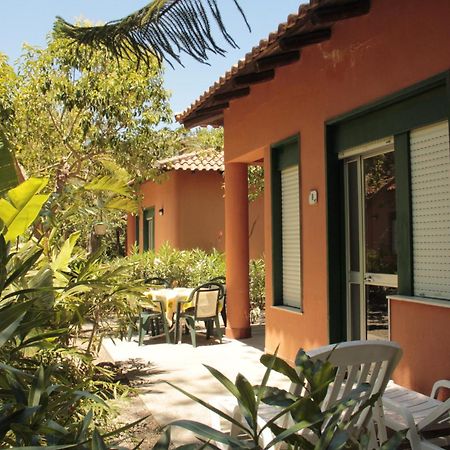 Le Palme Garden Villa San Giorgio  Exteriör bild