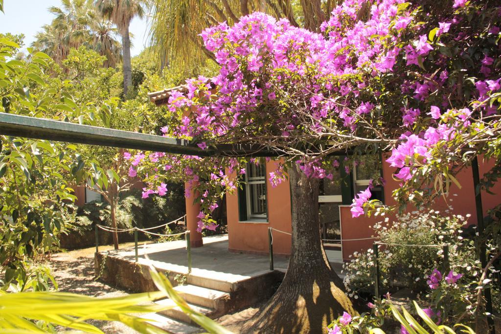Le Palme Garden Villa San Giorgio  Exteriör bild